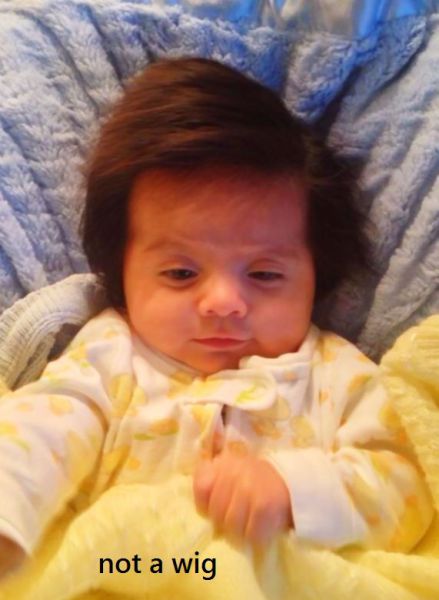 daily picdump weekend edition 94 pics 35.html - 94 HD Photos | Premium Gallery 2013