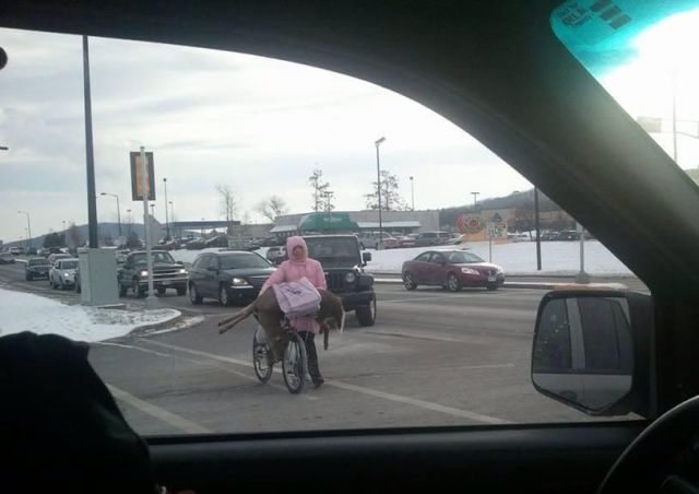 daily picdump weekend edition 94 pics 35.html - 94 HD Photos | Premium Gallery 2013