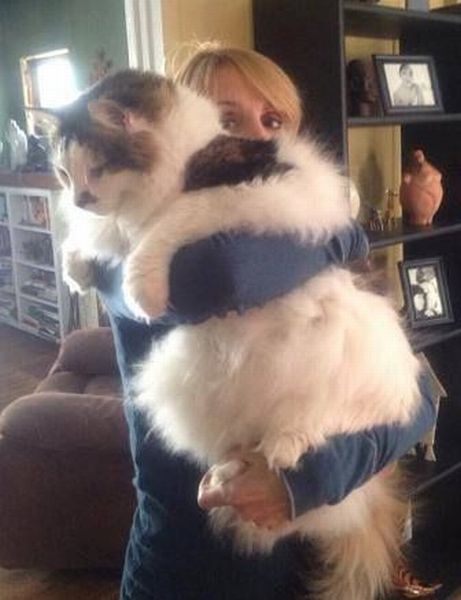 morning picdump 52 pics 2.html - 52 HD Photos | Premium Gallery 2013