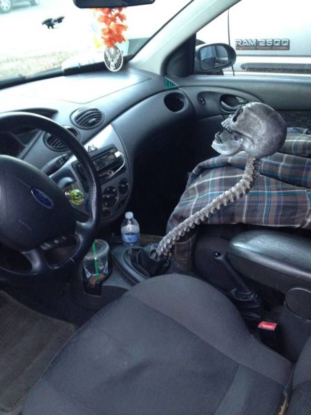 morning picdump 51 pics 2.html - 51 HD Photos | Premium Gallery 2013