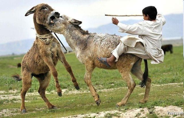 morning picdump 51 pics 2.html - 51 HD Photos | Premium Gallery 2013