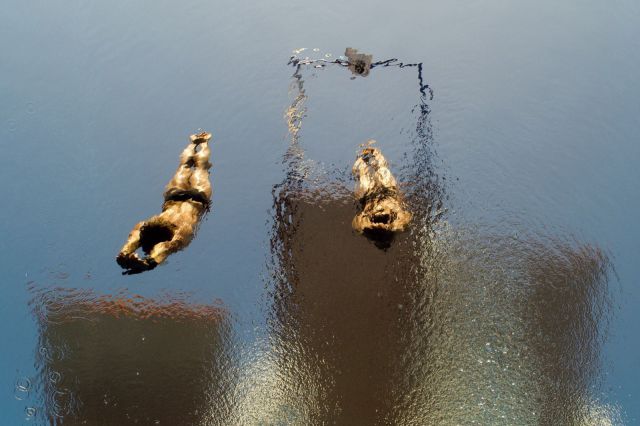 morning picdump 54 pics 2.html - 54 HD Photos | Premium Gallery 2013