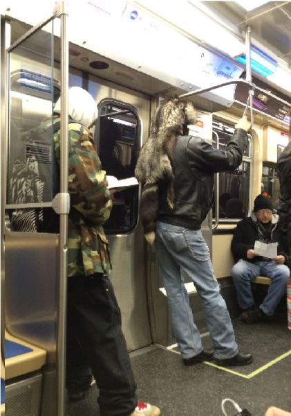 morning picdump 54 pics 2.html - 54 HD Photos | Premium Gallery 2013