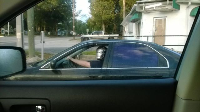 morning picdump 54 pics 2.html - 54 HD Photos | Premium Gallery 2013