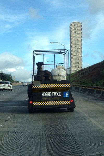 morning picdump 54 pics 3.html - 54 HD Photos | Premium Gallery 2013