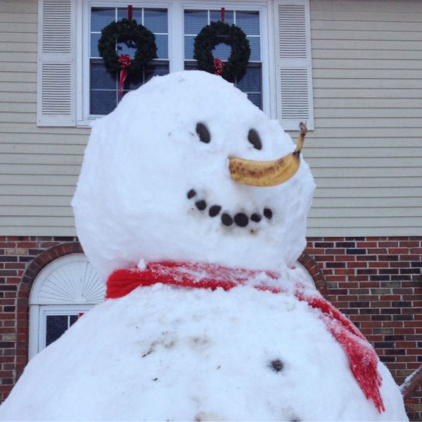 Morning Picdump