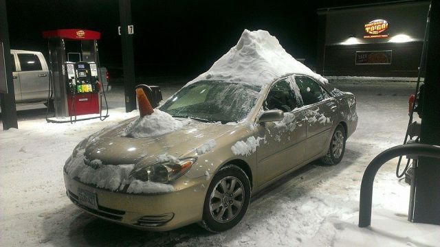 Morning Picdump