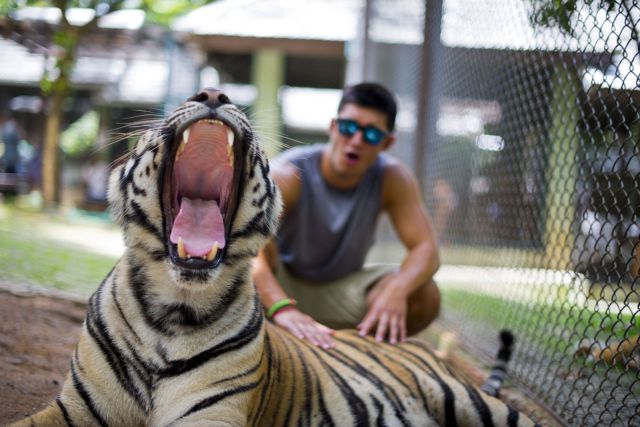 morning picdump 54 pics 24.html - 54 HD Photos | Premium Gallery 2013