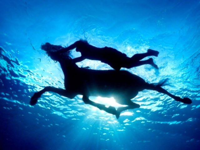 morning picdump 54 pics 24.html - 54 HD Photos | Premium Gallery 2013