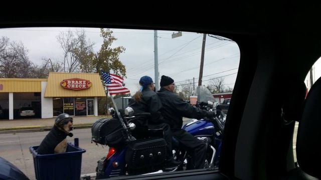 morning picdump 54 pics 2.html - 54 HD Photos | Premium Gallery 2013