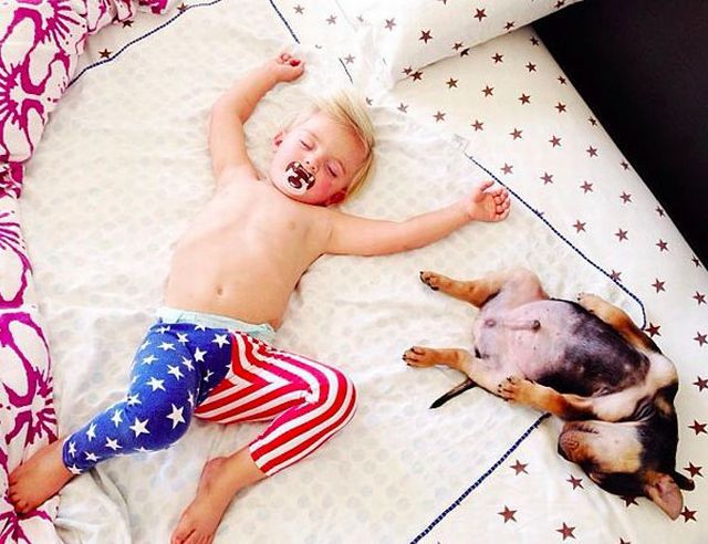 morning picdump 54 pics 2.html - 54 HD Photos | Premium Gallery 2013