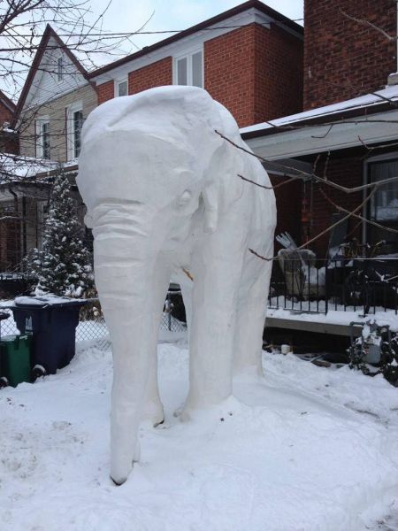 morning picdump 53 pics 8.html - 53 HD Photos | Premium Gallery 2013