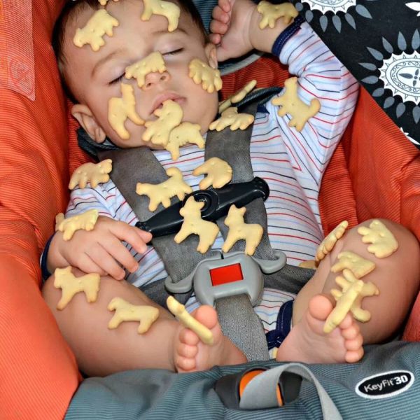 morning picdump 53 pics 8.html - 53 HD Photos | Premium Gallery 2013