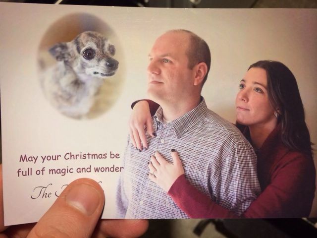 daily picdump 90 pics 16.html - 90 HD Photos | Premium Gallery 2013