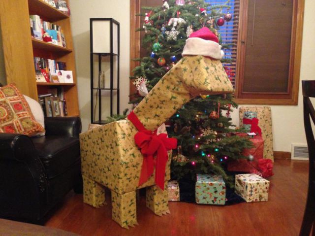 daily picdump 90 pics 16.html - 90 HD Photos | Premium Gallery 2013