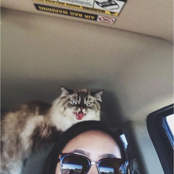 daily picdump 90 pics 16.html - 90 HD Photos | Premium Gallery 2013