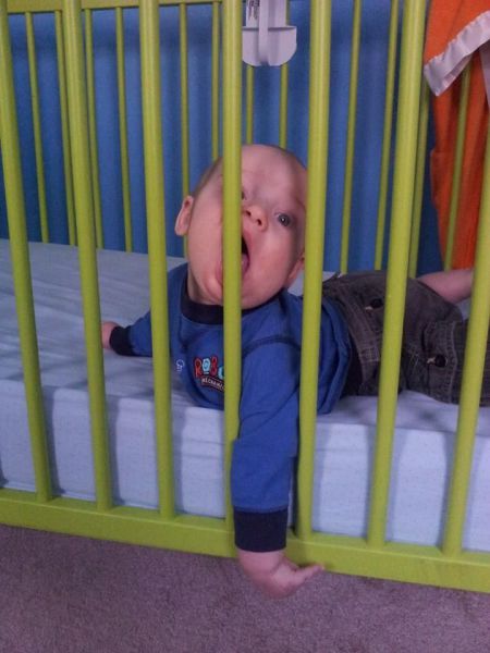 daily picdump 90 pics 16.html - 90 HD Photos | Premium Gallery 2013