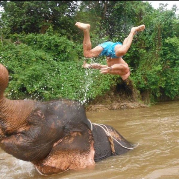 morning picdump 54 pics 25.html - 54 HD Photos | Premium Gallery 2013