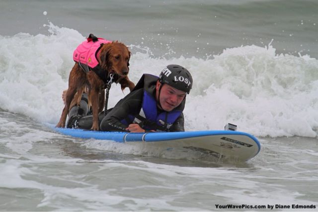 morning picdump 54 pics 25.html - 54 HD Photos | Premium Gallery 2013