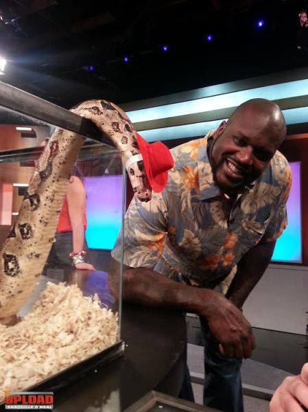 morning picdump 54 pics 25.html - 54 HD Photos | Premium Gallery 2013