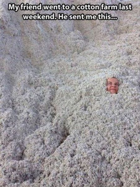 morning picdump 64 pics 5.html - 64 HD Photos | Premium Gallery 2013