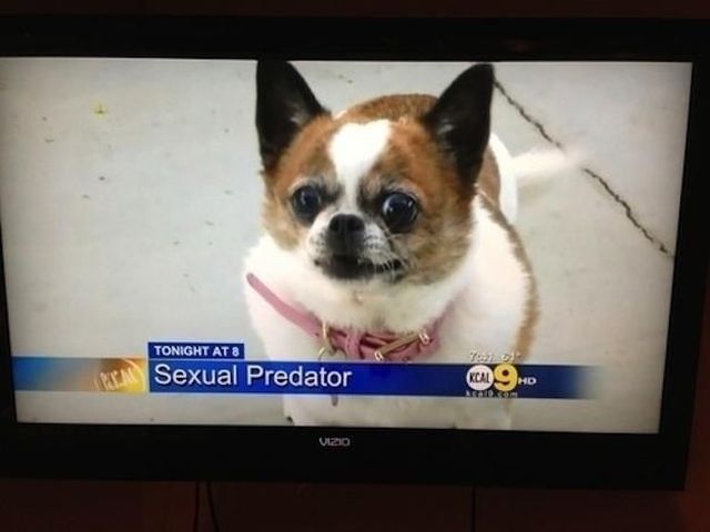 morning picdump 64 pics 5.html - 64 HD Photos | Premium Gallery 2013