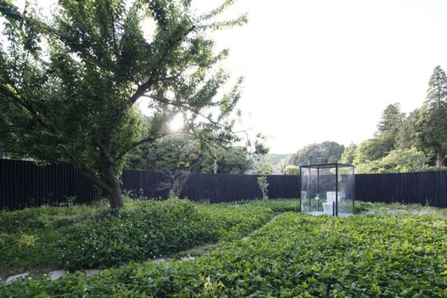 morning picdump 64 pics 5.html - 64 HD Photos | Premium Gallery 2013