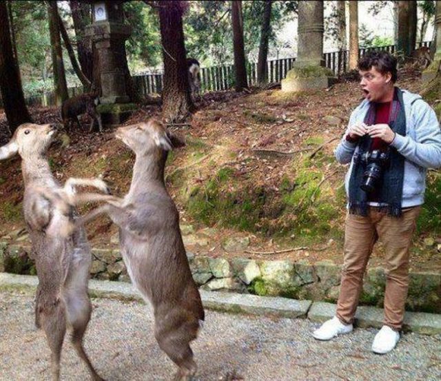 morning picdump 64 pics 5.html - 64 HD Photos | Premium Gallery 2013