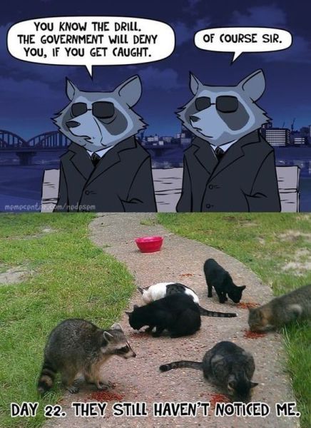 morning picdump 62 pics 18.html - 62 HD Photos | Premium Gallery 2013