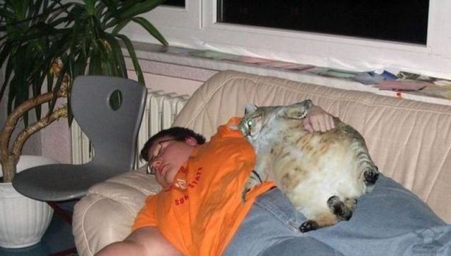 daily picdump 99 pics 30.html - 99 HD Photos | Premium Gallery 2014