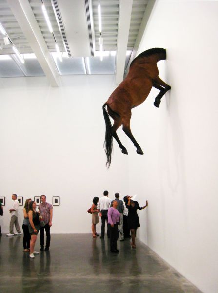 daily picdump 99 pics 30.html - 99 HD Photos | Premium Gallery 2014