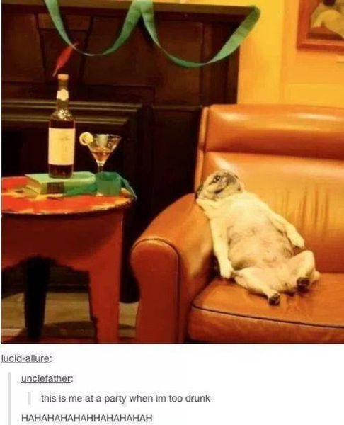 daily picdump 99 pics 30.html - 99 HD Photos | Premium Gallery 2014