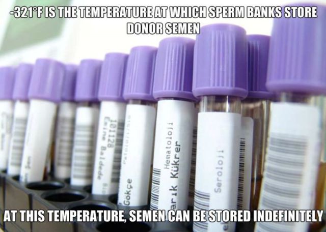 interesting facts about peoples sex life 18 pics 2.html - 18 HD Photos | Premium Gallery 2014