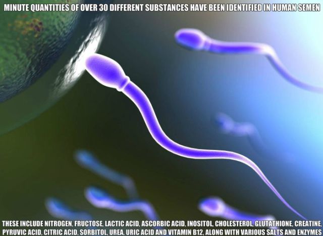 interesting facts about peoples sex life 18 pics 2.html - 18 HD Photos | Premium Gallery 2014