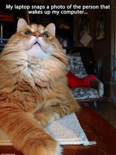 page,2,top 500 morning pics of the year 2014.html - 1 HD Photos | Premium Gallery 2014