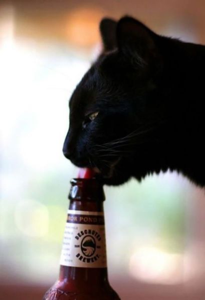 morning picdump 55 pics 24.html - 55 HD Photos | Premium Gallery 2014