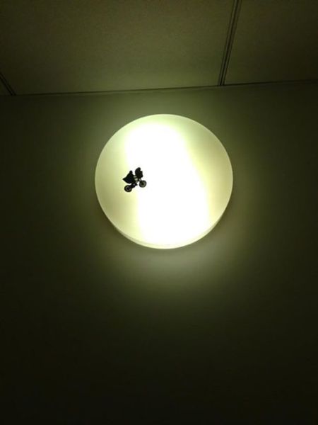 morning picdump 55 pics 24.html - 55 HD Photos | Premium Gallery 2014