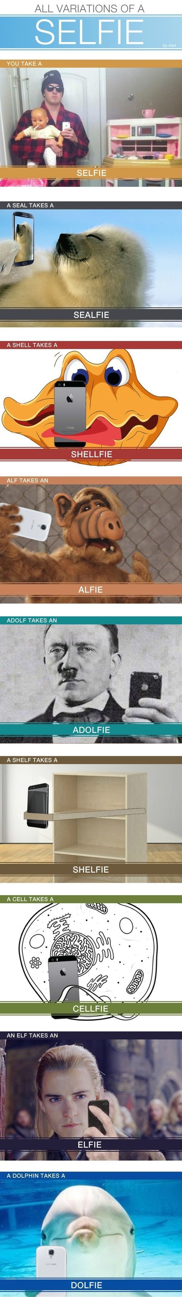 morning picdump 55 pics 24.html - 55 HD Photos | Premium Gallery 2014