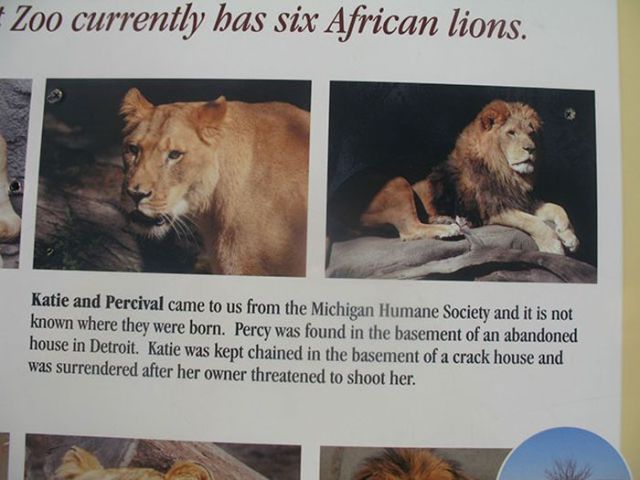 Just Another Day in Detroit