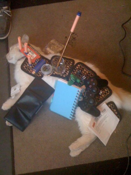 morning picdump 60 pics 47.html - 60 HD Photos | Premium Gallery 2014