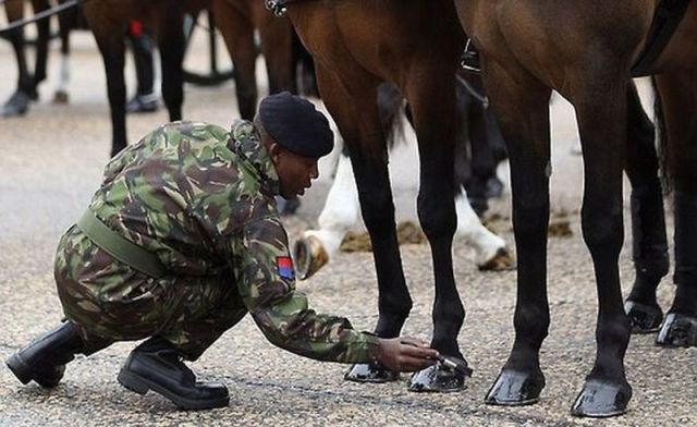 morning picdump 60 pics 47.html - 60 HD Photos | Premium Gallery 2014