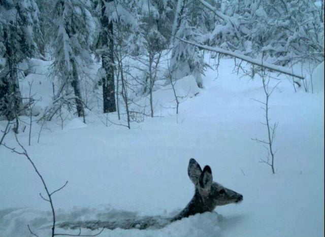 morning picdump 60 pics 47.html - 60 HD Photos | Premium Gallery 2014