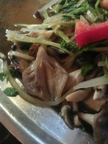 grownup corner 51 pics 2 gifs 3 videos 1.html - 51 HD Video | Premium Gallery 2014