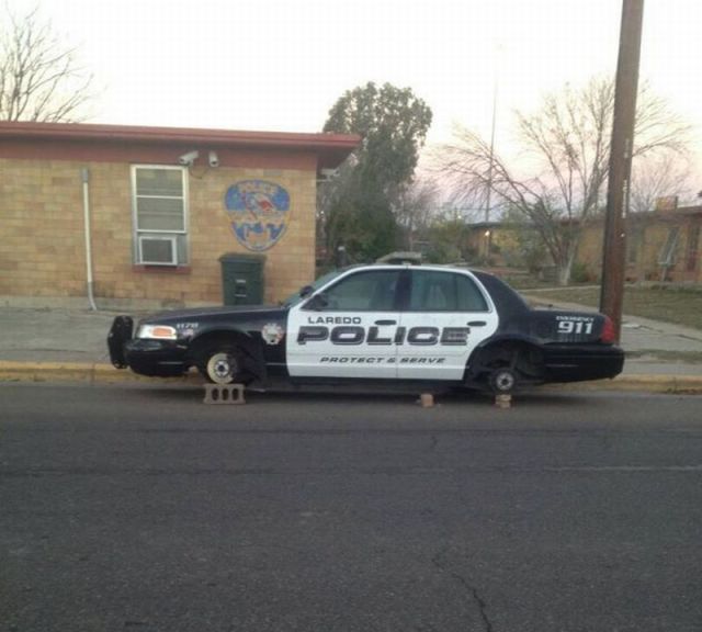 morning picdump 52 pics 22.html - 52 HD Photos | Premium Gallery 2014