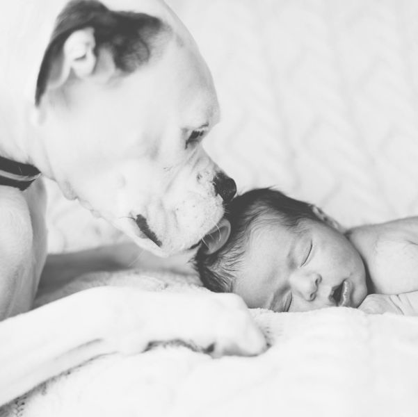 morning picdump 52 pics 22.html - 52 HD Photos | Premium Gallery 2014