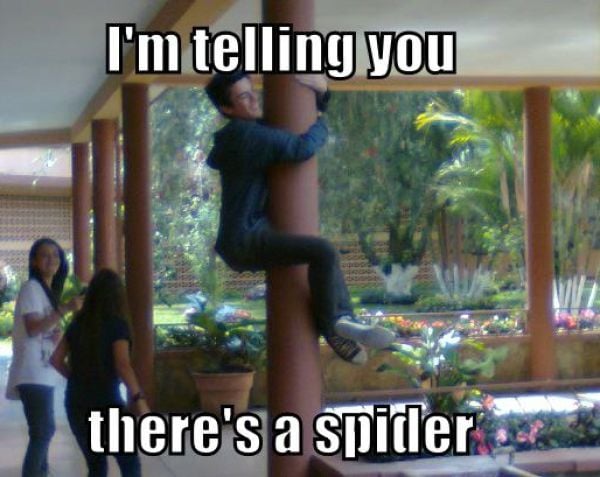 funny picdump 52 pics 9.html - 52 HD Photos | Premium Gallery 2014