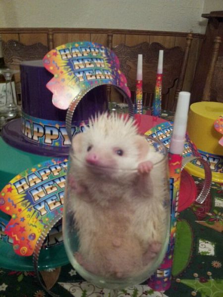 morning picdump 59 pics 16.html - 59 HD Photos | Premium Gallery 2014