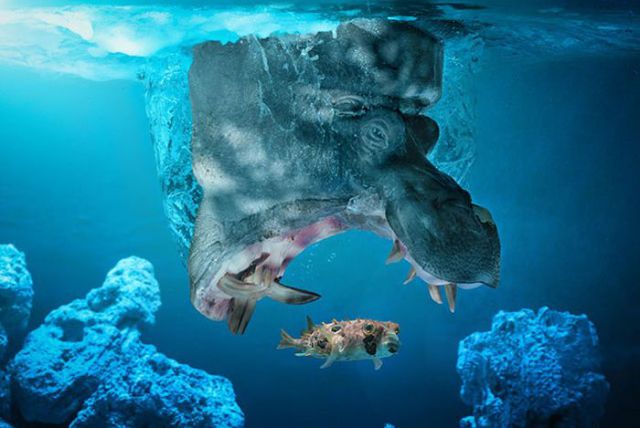 Magnificent Nature Photography