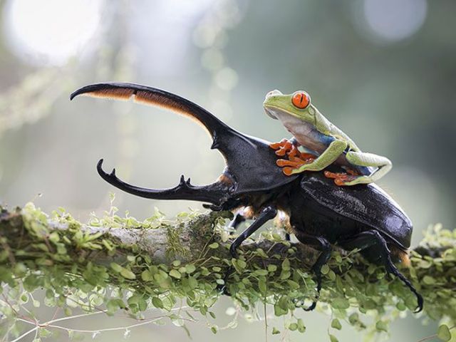 Magnificent Nature Photography