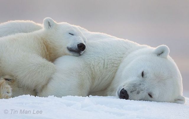 Magnificent Nature Photography